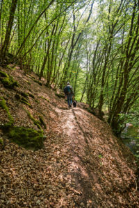 Abstieg zur Ehrbachklamm Abstieg zur Ehrbachklamm